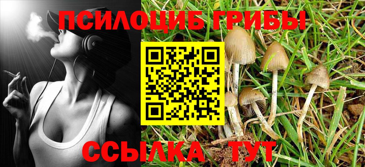 Муравленко  Псилоцибиновые грибы GOLDEN TEACHER  Вход с VPN 