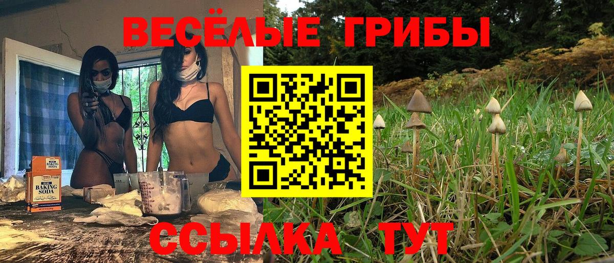 Псилоцибиновые грибы прущие грибы Муравленко